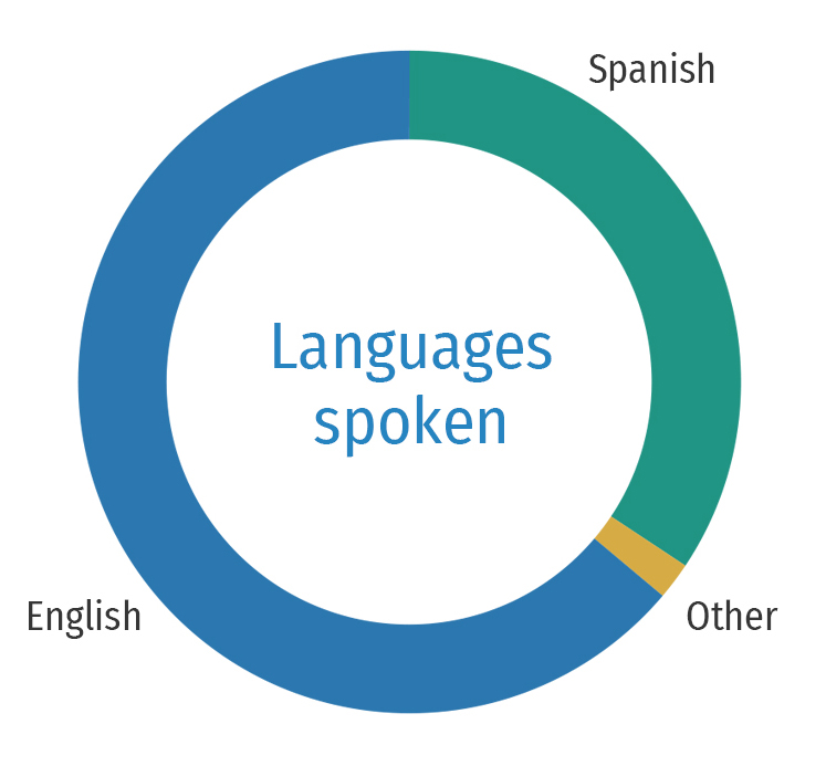 donut2-language.jpg